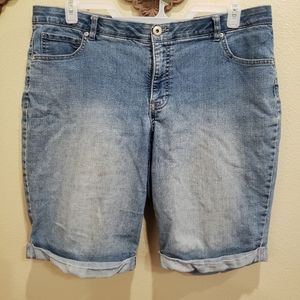 Faded Glory Denim Shorts, 18W